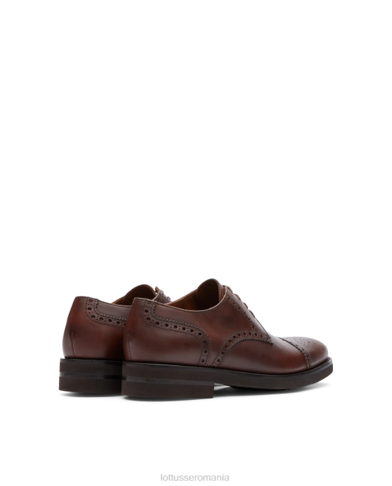Lottusse bărbați Holborn wax calf derby TJT6148 încălţăminte maro