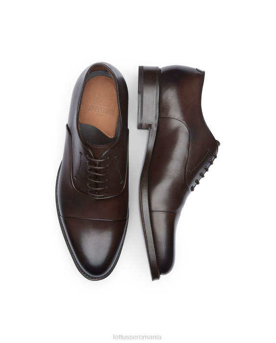 Lottusse bărbați crust premium anilin vițel oxford TJT62 încălţăminte moca
