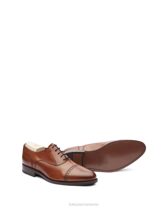 Lottusse bărbați crust premium anilin vițel oxford TJT651 încălţăminte maro