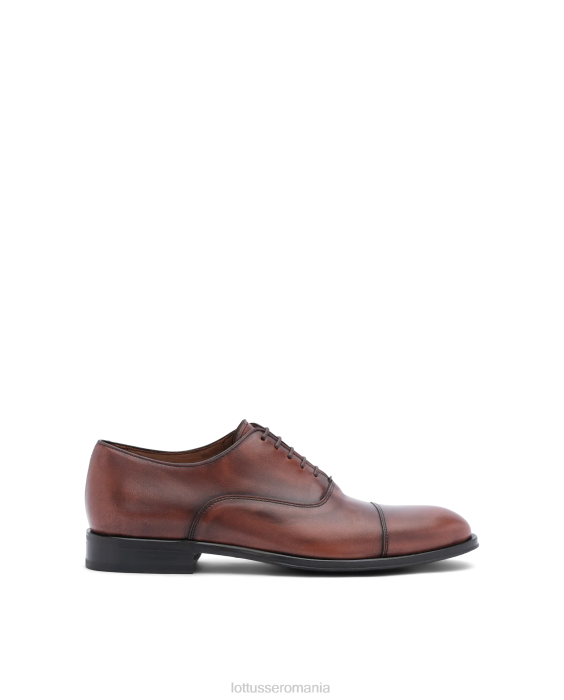 Lottusse bărbați lenox peria vițel oxford TJT6137 încălţăminte maro