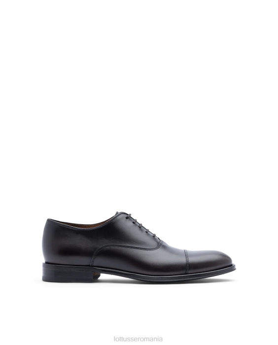 Lottusse bărbați lenox peria vițel oxford TJT69 încălţăminte moca